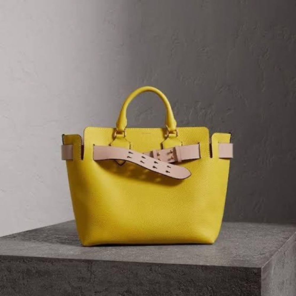 BURBERRY new - beautiful belt bag
